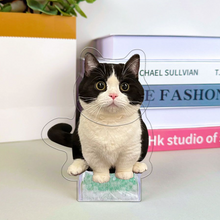 画像をギャラリービューアに読み込む, 愛犬💕 愛猫💕頭揺れるアクリルスタンド