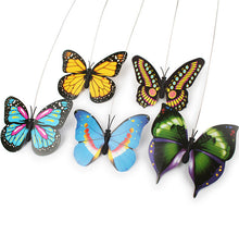 画像をギャラリービューアに読み込む, ❥最新デザイン❥ 猫のおもちゃ ♪ 電動回転蝶棒★