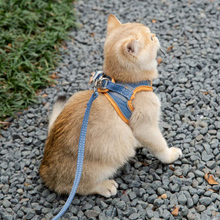 画像をギャラリービューアに読み込む, 猫用品ハーネス - 一緒に散歩しよう！
