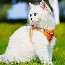 画像をギャラリービューアに読み込む, ペットハーネス - 猫用犬用 - 一緒に出かけよう!