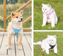 画像をギャラリービューアに読み込む, ペットハーネス - 猫用犬用 - 一緒に出かけよう!