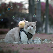 画像をギャラリービューアに読み込む, かわいいニワトリの猫ハーネス - 一緒に散歩しよう!