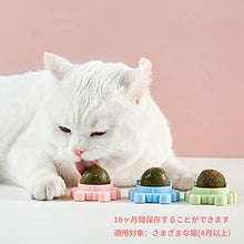 画像をギャラリービューアに読み込む, キャットニップ 猫 おもちゃ 猫薄荷球 ストレス解消 薄荷ボール (3 個)