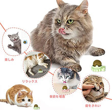 画像をギャラリービューアに読み込む, キャットニップ 猫 おもちゃ 猫薄荷球 ストレス解消 薄荷ボール (3 個)