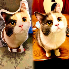 画像をギャラリービューアに読み込む, オリジナルクッション·写真でオーダーメイド01-ペット