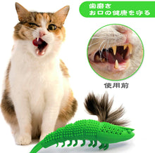 画像をギャラリービューアに読み込む, ペット用 魚おもちゃ 猫 歯ブラシ ストレス解消 薄荷(3 個セット)