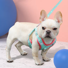 画像をギャラリービューアに読み込む, 犬用品ハーネス-ソフト ワンちゃんが嫌がらない!01