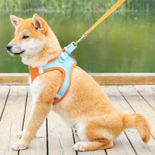 画像をギャラリービューアに読み込む, ペットハーネス - 猫用犬用 - 一緒に出かけよう!