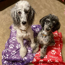 画像をギャラリービューアに読み込む, うちの子ふわふわカラーブランケット/ペットのお写真でお作りします/犬 猫 うさぎなど