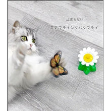 画像をギャラリービューアに読み込む, ❥最新デザイン❥ 猫のおもちゃ ♪ 電動回転蝶棒★