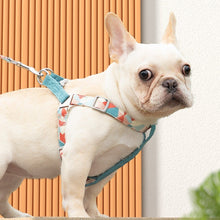 画像をギャラリービューアに読み込む, 犬用品ハーネス-ソフト ワンちゃんが嫌がらない!02