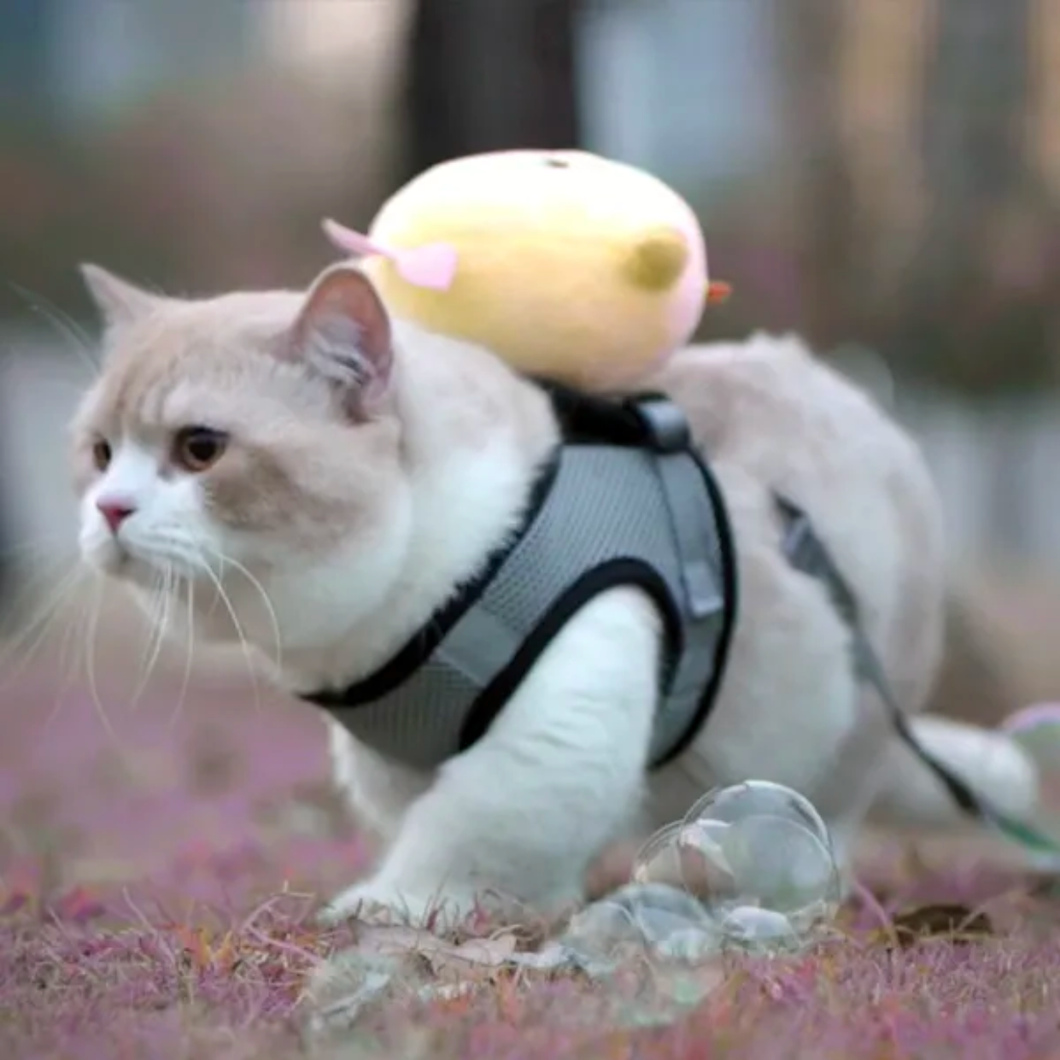 かわいいニワトリの猫ハーネス - 一緒に散歩しよう！
