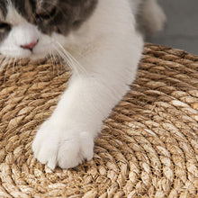 画像をギャラリービューアに読み込む, ペットマット 円形の猫の枝編み細工品の巣ラタン 涼しい 夏対策 熱中症対策 ぐっすり眠る 涼感 猫用
